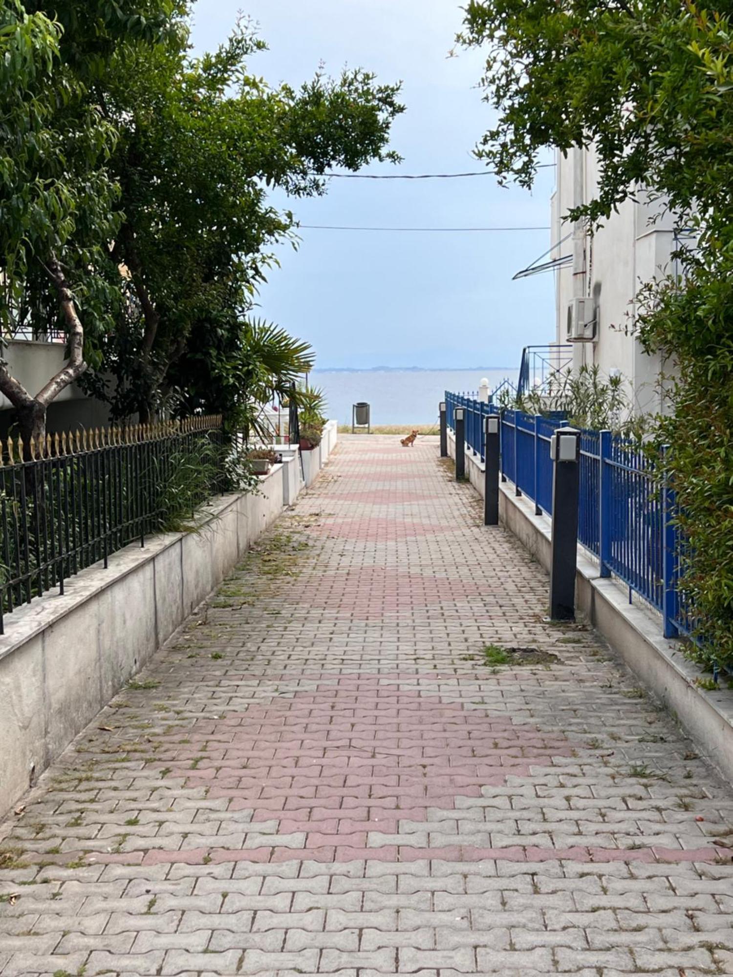 Joanna Apartment Γερακινή Εξωτερικό φωτογραφία