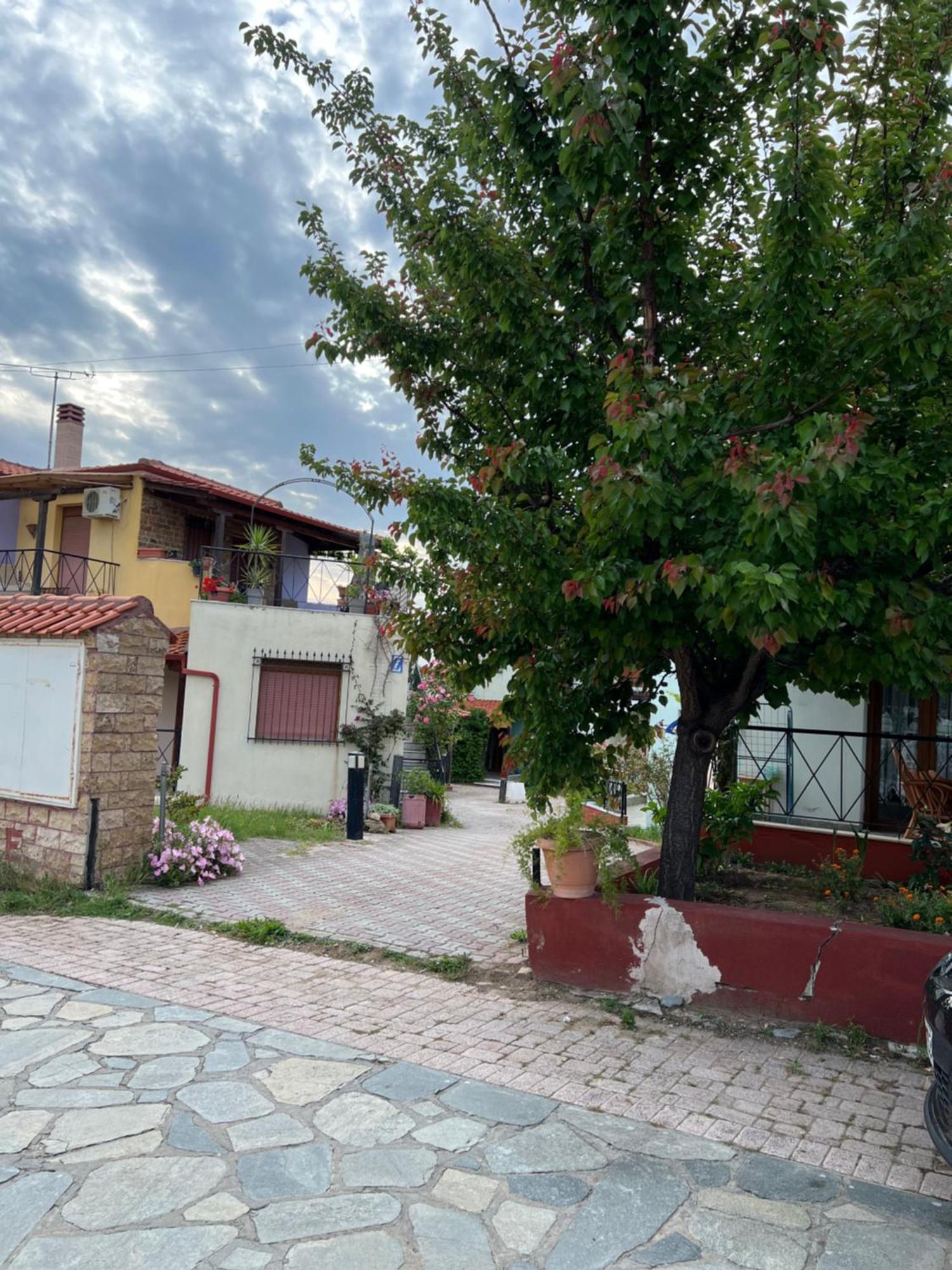 Joanna Apartment Γερακινή Εξωτερικό φωτογραφία